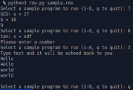 A screenshot of a sample Rex program running